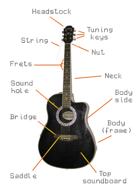 Parts of a guitar