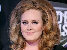 Adele halts show to help sick fan