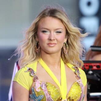 Zara Larsson Slams White House Over ICE Video