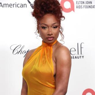 Megan Thee Stallion on Voice Acting Challenges